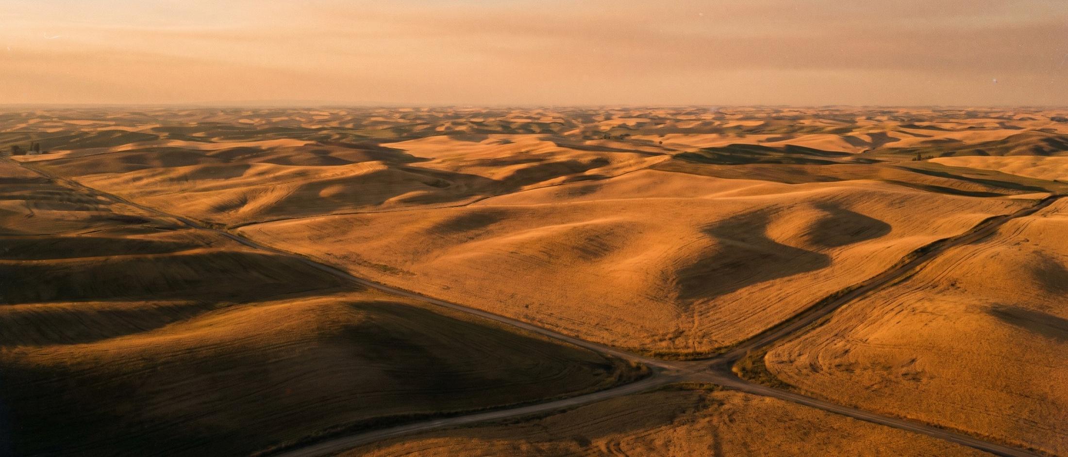Rolling Palouse wheat hills seen from above at golden hour, long shadows in the folds of the fields and a gravel road curving through the valley